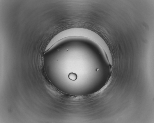 X0000111010186200907061003