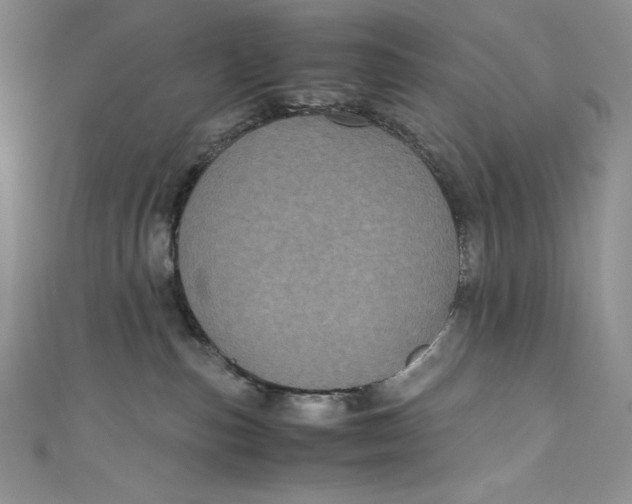 X0000111010187200907061003