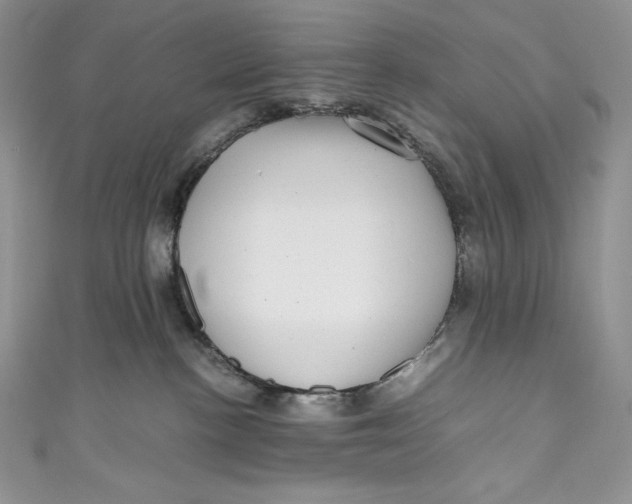 X0000111010188200907061003