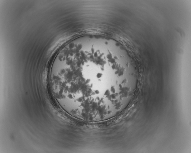 X0000111010194200907061002
