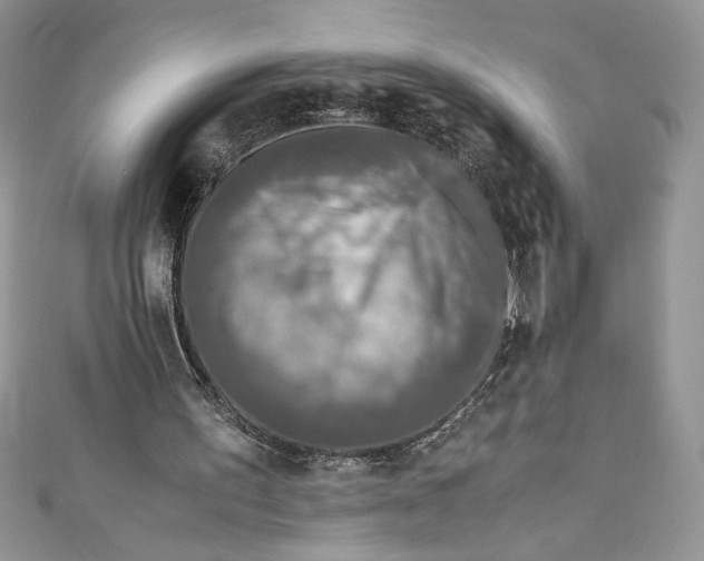 X0000111010195200907061002