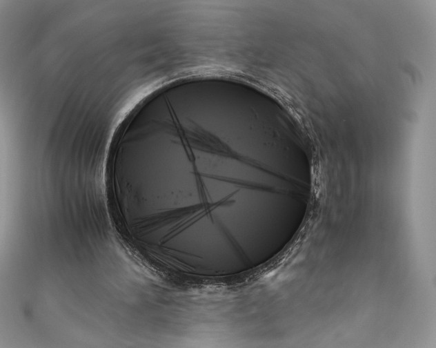 X0000111010196200907061002