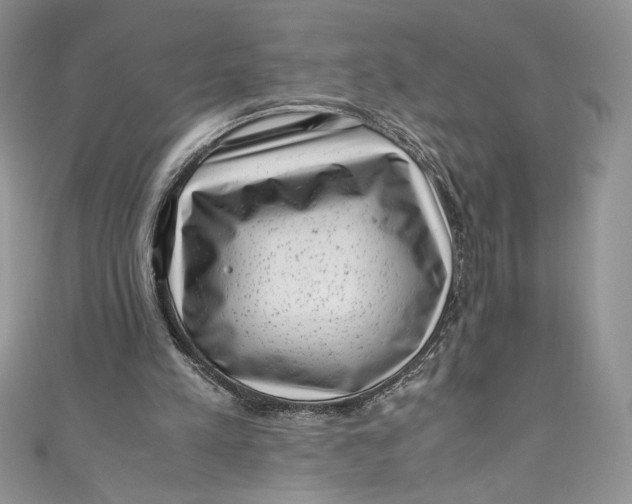 X0000111010197200907061002