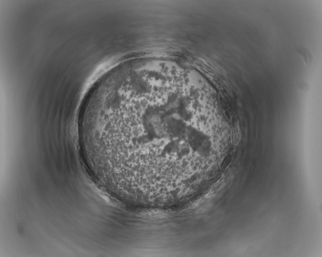 X0000111010198200907061002