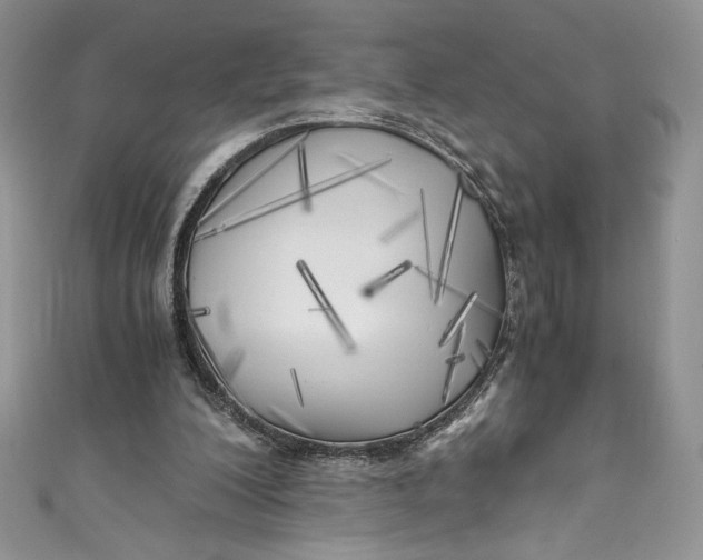 X0000111010200200907061002