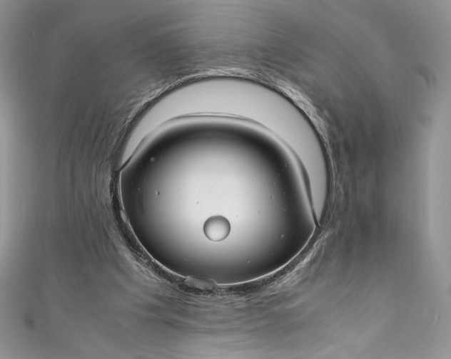 X0000111010201200907061002