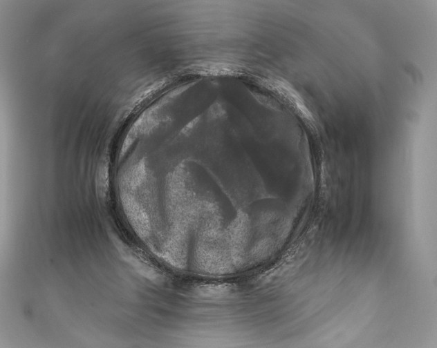 X0000111010202200907061002