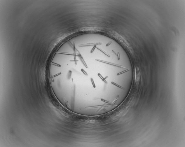X0000111010204200907061002
