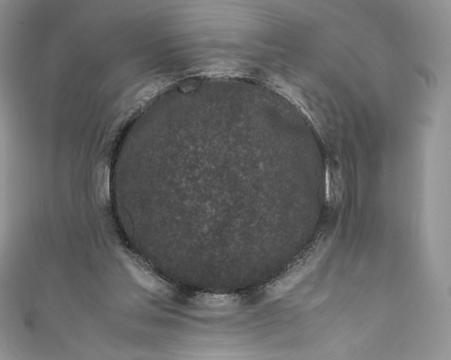 X0000111010205200907061002