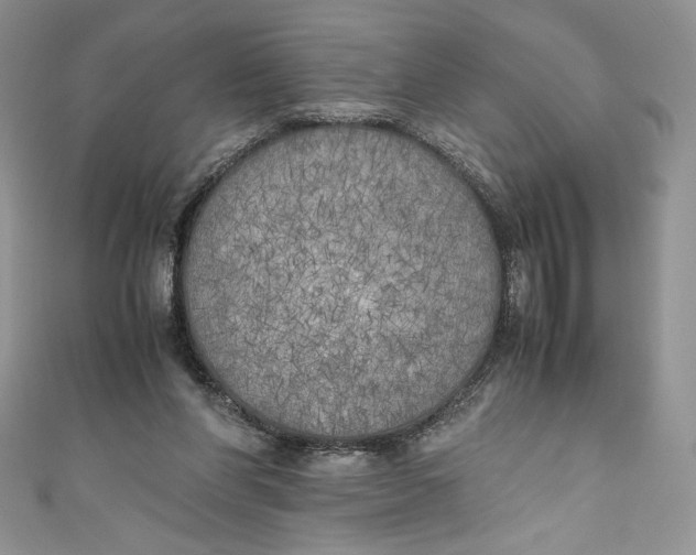 X0000111010206200907061002
