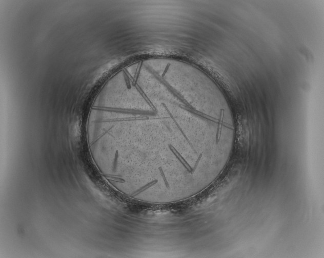 X0000111010208200907061002