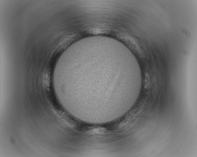 X0000111010210200907061002