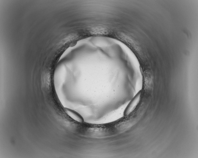 X0000111010211200907061002