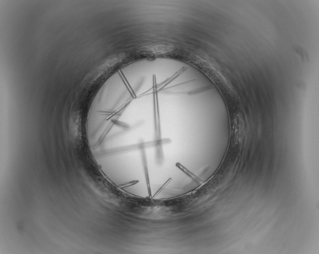 X0000111010212200907061002