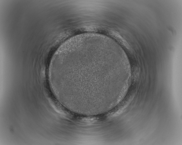 X0000111010213200907061002