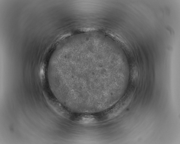 X0000111010214200907061002