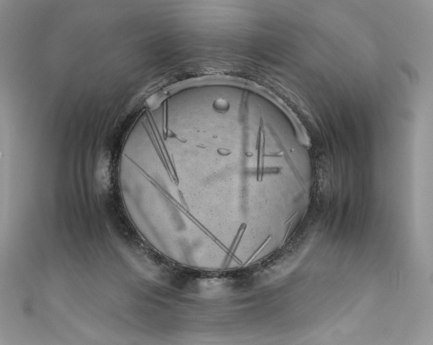 X0000111010216200907061002