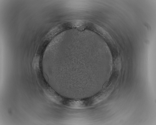 X0000111010217200907061002