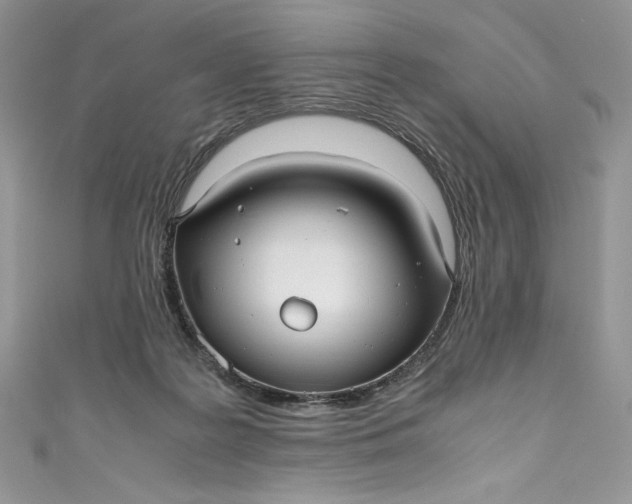 X0000111010219200907061002