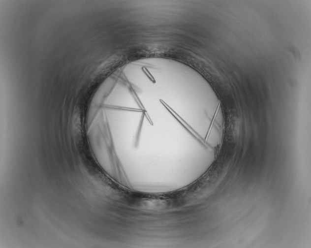 X0000111010220200907061002