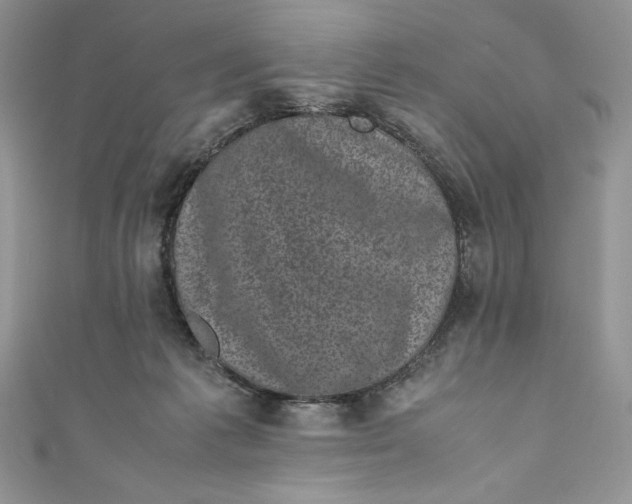 X0000111010221200907061002