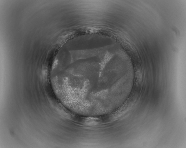 X0000111010222200907061002