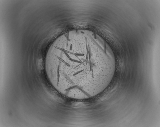 X0000111010224200907061002