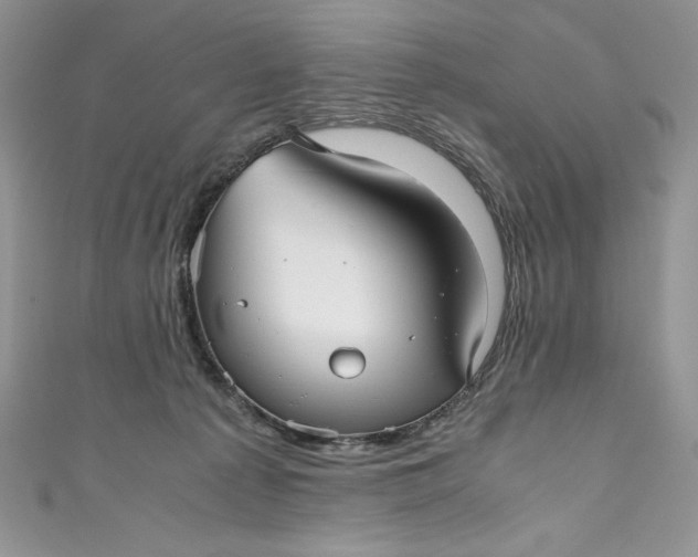 X0000111010225200907061002