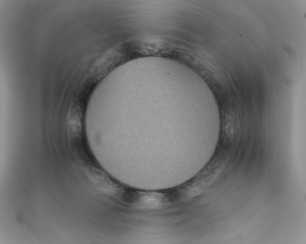 X0000111010226200907061002