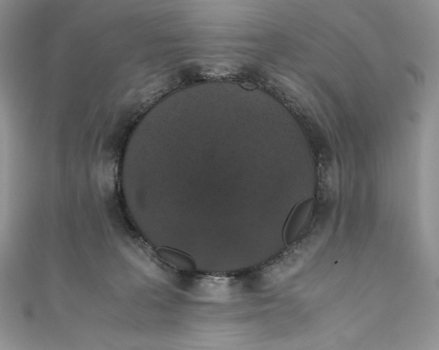 X0000111010227200907061002