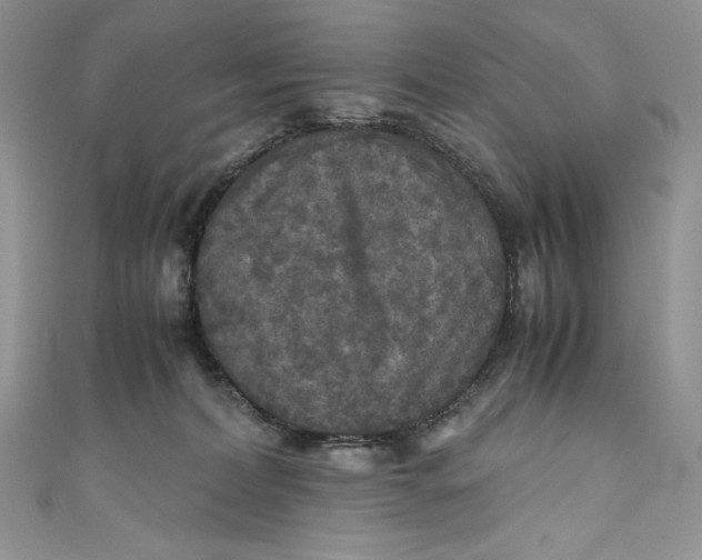 X0000111010228200907061002