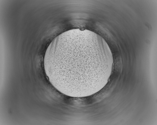 X0000111010229200907061002