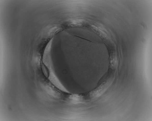 X0000111010231200907061002