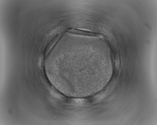 X0000111010233200907061002