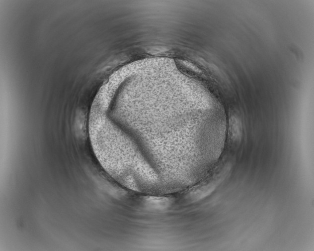 X0000111010234200907061002