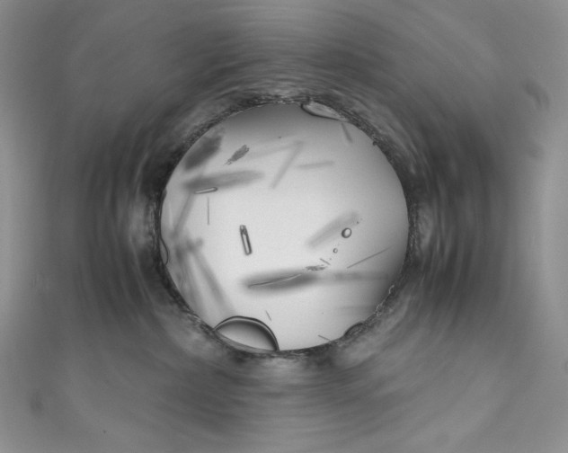 X0000111010236200907061002