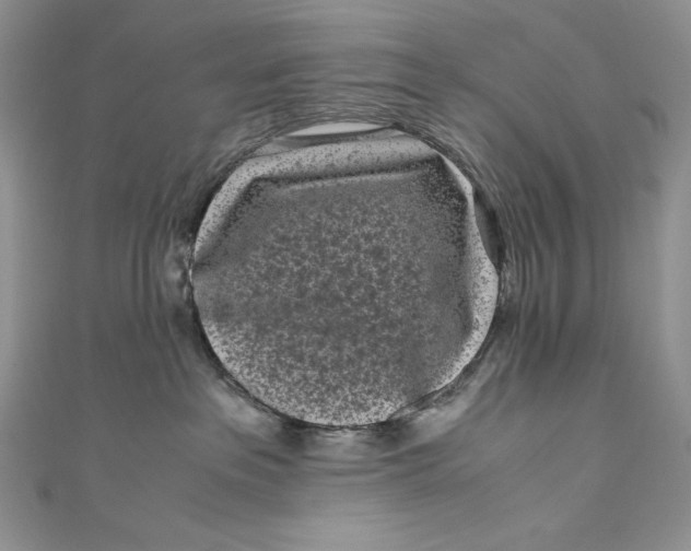 X0000111010237200907061002