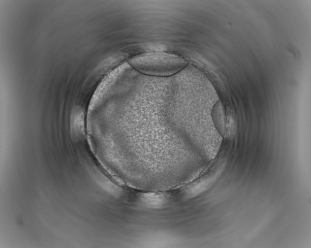 X0000111010238200907061002