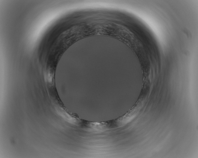 X0000111010239200907061002