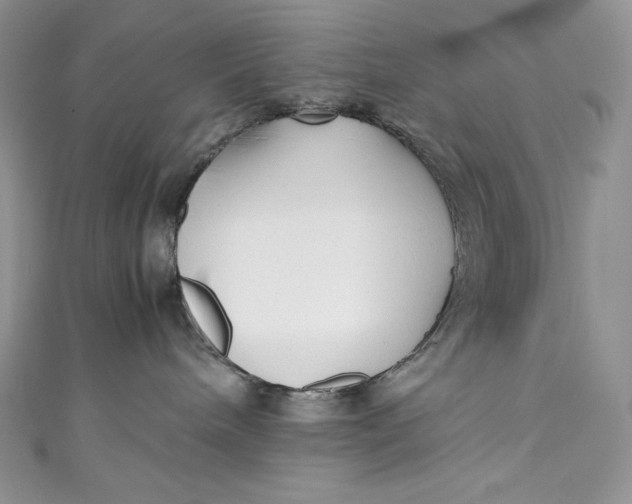 X0000111010240200907061002