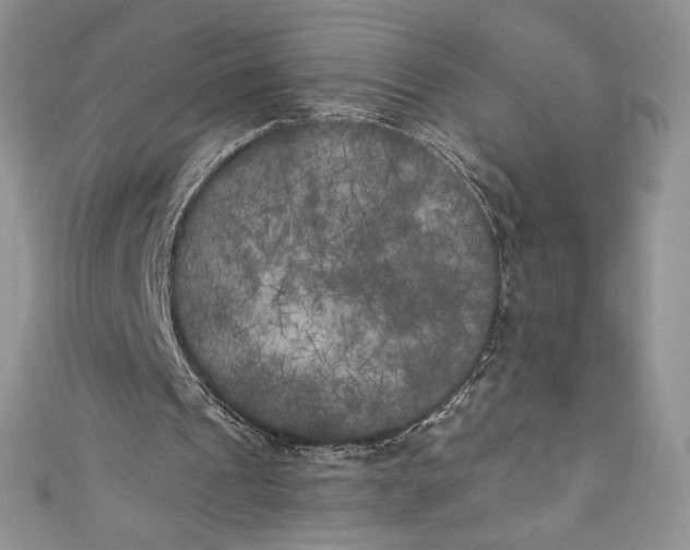 X0000111010241200907061001