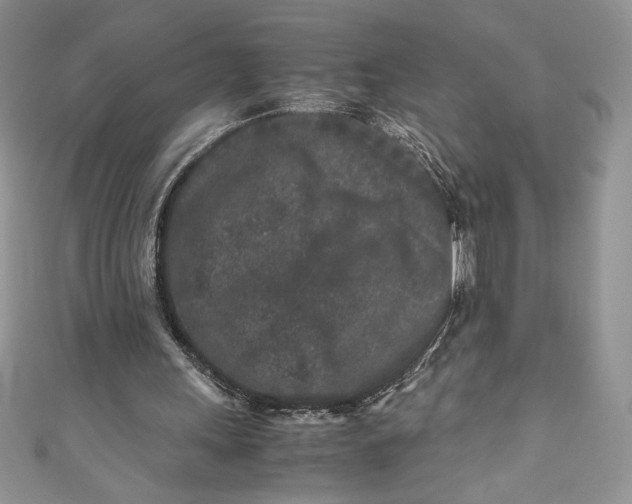 X0000111010243200907061001