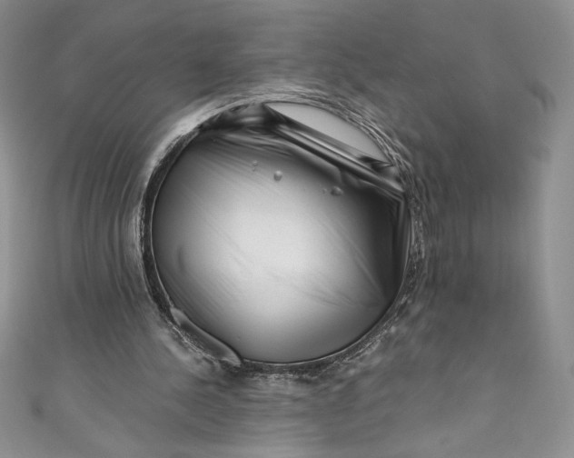 X0000111010244200907061001