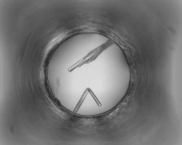 X0000111010245200907061001