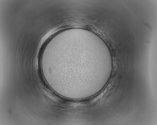 X0000111010246200907061001