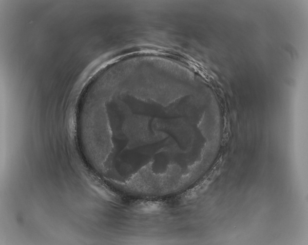 X0000111010247200907061001