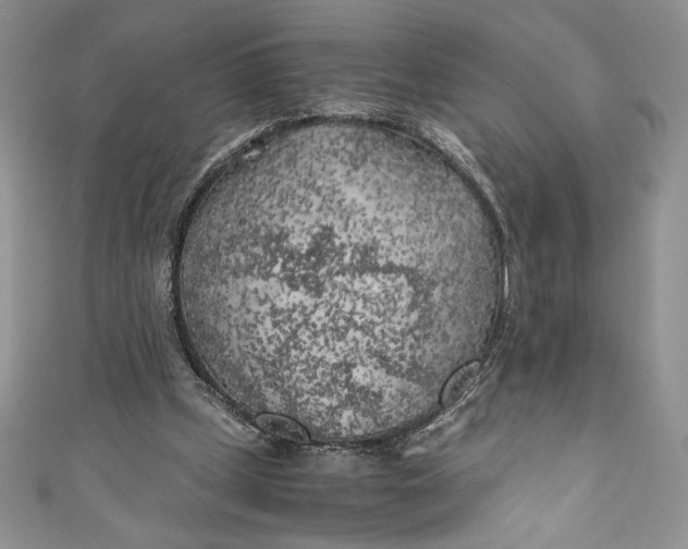 X0000111010249200907061001
