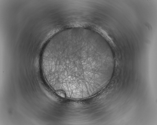 X0000111010250200907061001