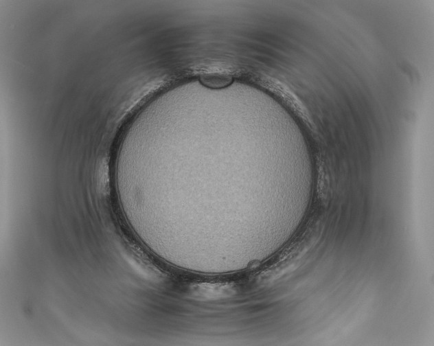 X0000111010251200907061001