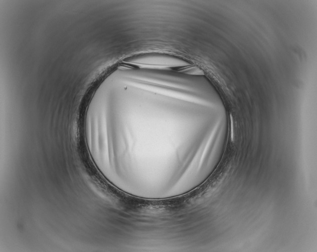 X0000111010252200907061001